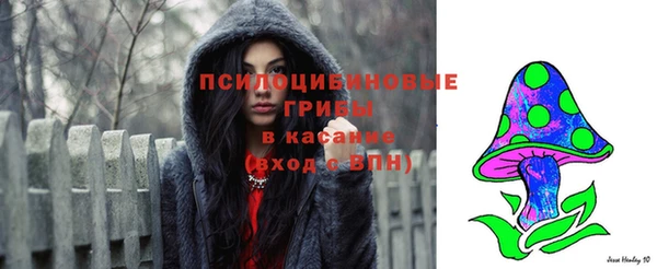 спайс Алзамай