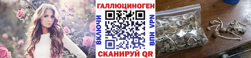 как найти закладки  Курганинск  Галлюциногенные грибы мицелий 
